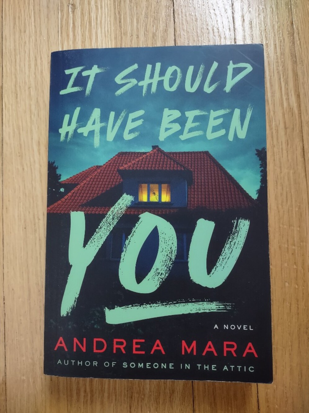 It Should Have Been You by Andrea Mara